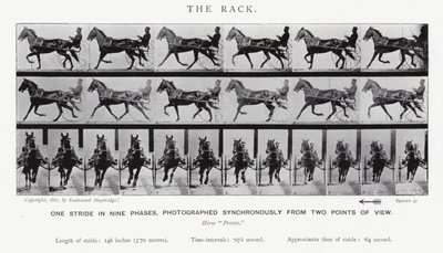 Eadweard Muybridge: The Rack (černobílá fotografie) od Eadweard Muybridge