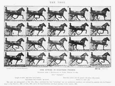 Eadweard Muybridge: Klus (černobílá fotografie) od Eadweard Muybridge