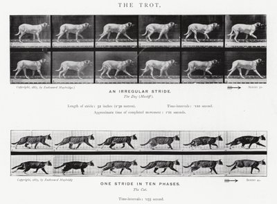 Eadweard Muybridge: Klus (černobílá fotografie) od Eadweard Muybridge