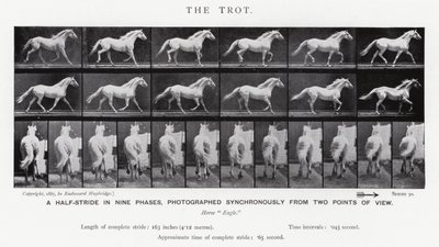 Eadweard Muybridge: Klus (černobílá fotografie) od Eadweard Muybridge