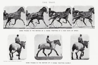 Eadweard Muybridge: Klus (černobílá fotografie) od Eadweard Muybridge