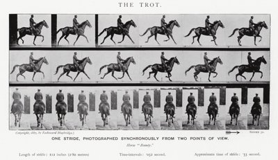 Eadweard Muybridge: Klus (černobílá fotografie) od Eadweard Muybridge
