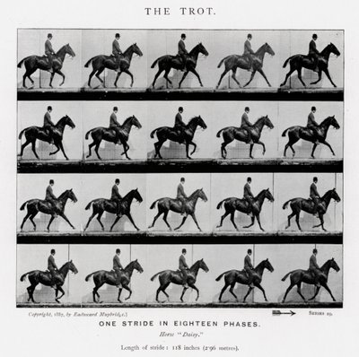 Eadweard Muybridge: Klus od Eadweard Muybridge