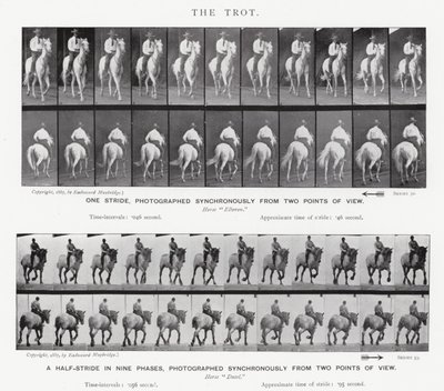 Eadweard Muybridge: Klus od Eadweard Muybridge