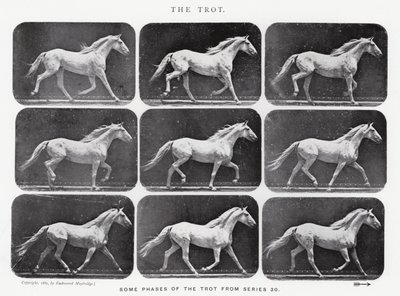 Eadweard Muybridge: Klus od Eadweard Muybridge