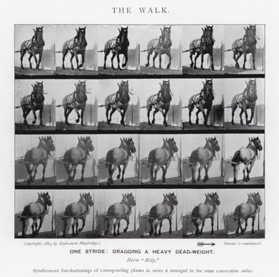 Eadweard Muybridge: The Walk (černobílá fotografie) od Eadweard Muybridge