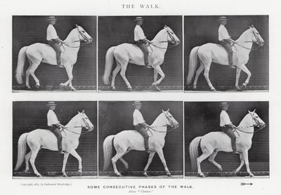 Eadweard Muybridge: The Walk (černobílá fotografie) od Eadweard Muybridge
