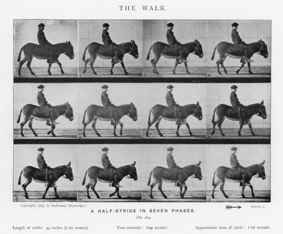 Eadweard Muybridge: The Walk (černobílá fotografie) od Eadweard Muybridge