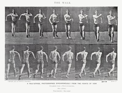 Eadweard Muybridge: The Walk (černobílá fotografie) od Eadweard Muybridge