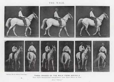 Eadweard Muybridge: The Walk (černobílá fotografie) od Eadweard Muybridge