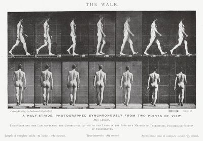 Eadweard Muybridge: The Walk (černobílá fotografie) od Eadweard Muybridge