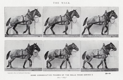 Eadweard Muybridge: The Walk (černobílá fotografie) od Eadweard Muybridge