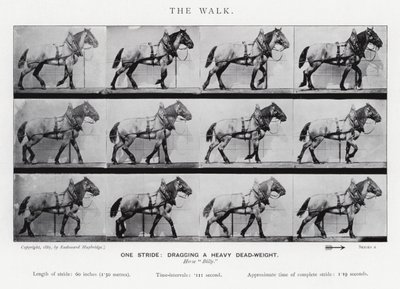 Eadweard Muybridge: The Walk od Eadweard Muybridge