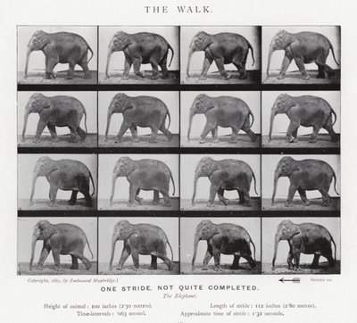 Eadweard Muybridge: The Walk od Eadweard Muybridge