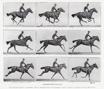 Eadweard Muybridge: Příčný cval od Eadweard Muybridge