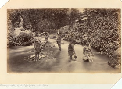 Večerní rekreace sběračů kávy, San Isidro, z pacifického pobřeží Střední Ameriky a Mexika; Panamský průliv; Guatemala; pěstování a přeprava kávy od Eadweard Muybridge