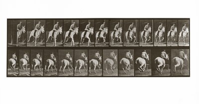 Cválající kůň s jezdcem, deska 635 od Animal Locomotion, 1887 od Eadweard Muybridge