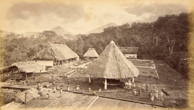 Hacienda William Nelson, San Isidro, Guatemala od Eadweard Muybridge