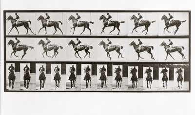 Kůň a jezdec, deska 621 od Animal Locomotion, 1887 od Eadweard Muybridge
