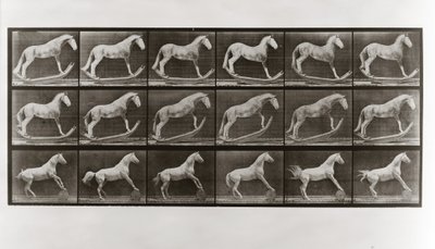 Kůň na houpačkách a kůň valící sud, deska 649 od Animal Locomotion, 1887 od Eadweard Muybridge