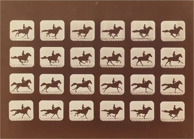 Koně. Běh. Phyrne L. č. 40 od Eadweard Muybridge