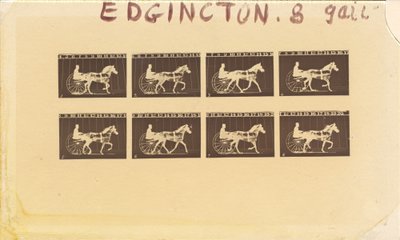 Internegativní pro koně. Klusání. Abe Edgington. č. 28 od Eadweard Muybridge