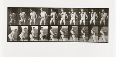 Muž zvedající činku, Plate 324 od Animal Locomotion, 1887 od Eadweard Muybridge