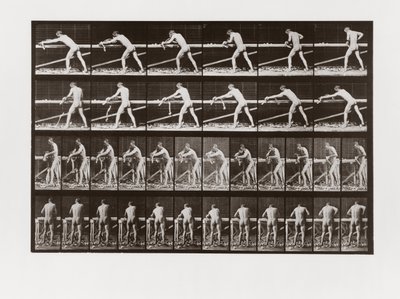 Muž hoblující dřevo, Deska 379 od Animal Locomotion, 1887 od Eadweard Muybridge