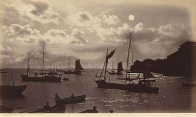 Efekt měsíčního svitu - Panamský záliv,1877 (foto) od Eadweard Muybridge