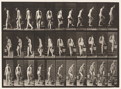 Talíř 102. Otáčivé a stoupající schody, vědro s vodou v Rt Hand, 1872-1885 od Eadweard Muybridge