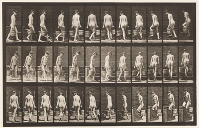 Talíř 104. Otáčivé a stoupající schody, vědro vody v každé ruce, 1872-1885 od Eadweard Muybridge