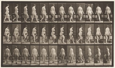 Talíř 106. Turning to Ascend Stairs, vědro vody v každé ruce, 1872-1885 od Eadweard Muybridge