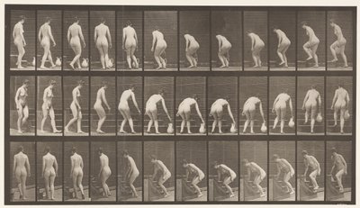 Talíř 108. Otáčet se po schodech nahoru, sklánět se, zvednout džbán, 1872-1885 od Eadweard Muybridge