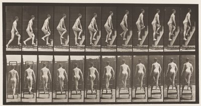 Deska 109. Stoupající žebřík, 1872-1885 od Eadweard Muybridge