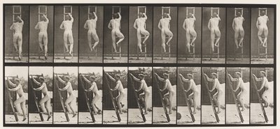 Deska 111. Vzestupný žebřík od Eadweard Muybridge