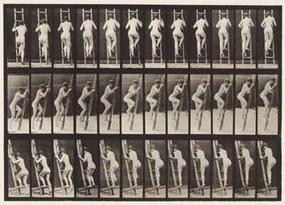 Deska 112. Vzestupný žebřík od Eadweard Muybridge