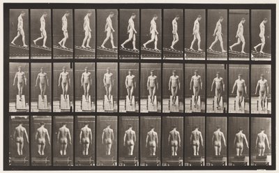 Deska 114. Sestupný sklon, úhel 1:4, 1872-1885 od Eadweard Muybridge