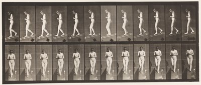 Talíř 115. Sestupný sklon s rukama sepjatýma vpředu od Eadweard Muybridge