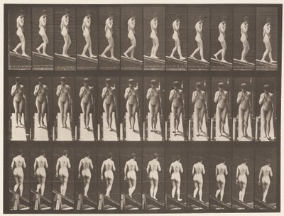 Talíř 116. Sestupný sklon, Jedna ruka Na bradě od Eadweard Muybridge