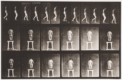 Talíř 118. Sestupný sklon od Eadweard Muybridge
