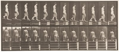 Talíř 120. Klesající sklon, vědro vody v pravé ruce, 1872-1885 od Eadweard Muybridge