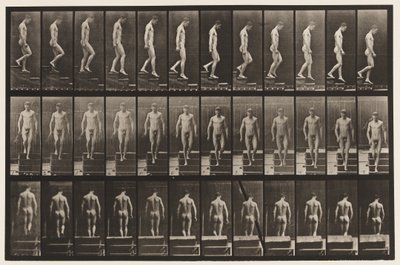 Talíř 125. Sestupné schody od Eadweard Muybridge