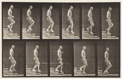 Talíř 126. Sestupné schody od Eadweard Muybridge