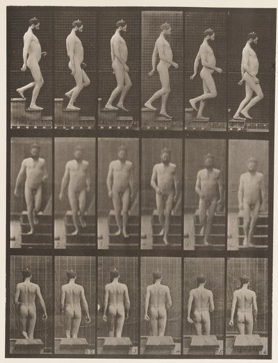 Deska 127. Sestupné schody, 1872-1885 od Eadweard Muybridge