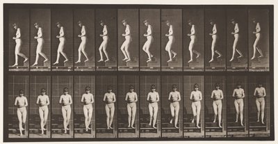 Talíř 128. Sestupné schody, ruce sepjaté, 1872-1885 od Eadweard Muybridge
