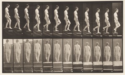 Talíř 129. Sestupné schody, ruce sepjaté od Eadweard Muybridge