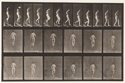 Talíř 130. Sestupné schody, ruce sepjaté, 1872-1885 od Eadweard Muybridge