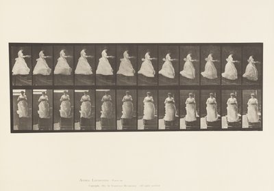 Deska 134. Sestupné schody, S umyvadlem v rukou od Eadweard Muybridge