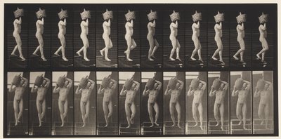 Talíř 136. Sestupné schody Plný demižon na rameni, 1872-1885 od Eadweard Muybridge