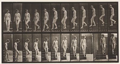 Talíř 137. Sestupné schody, otočka od Eadweard Muybridge